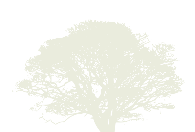 Arbor Age Tree Services Logo